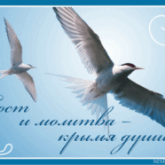 Аудио в пост